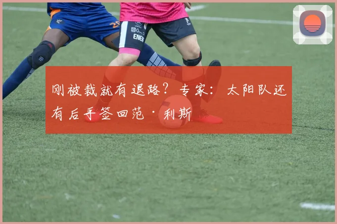 刚被裁就有退路？专家：太阳队还有后手签回范·利斯