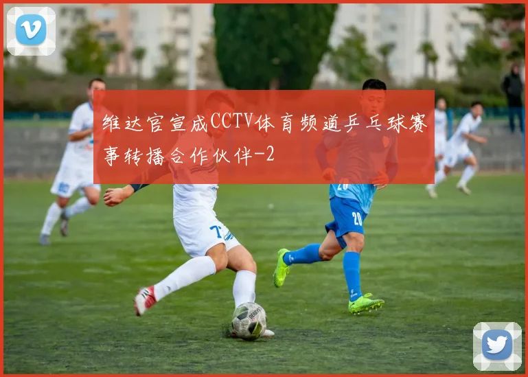 维达官宣成CCTV体育频道乒乓球赛事转播合作伙伴